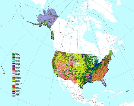 Soil Taxa