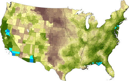 nativecurve20110403