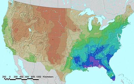 treediversity20070906.png